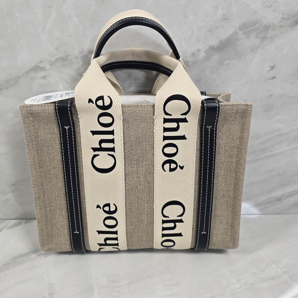 Chloé Small Woody Tote Bag in Beige and Blue - Picture 4 of 14